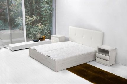 yecol-canape-NOA (1)